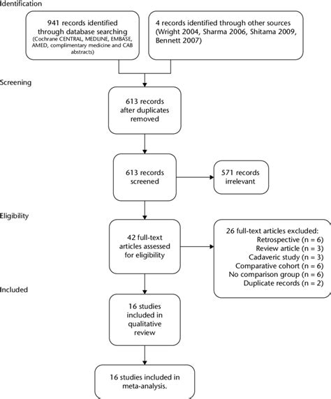 Example study flow diagram. | Download Scientific Diagram