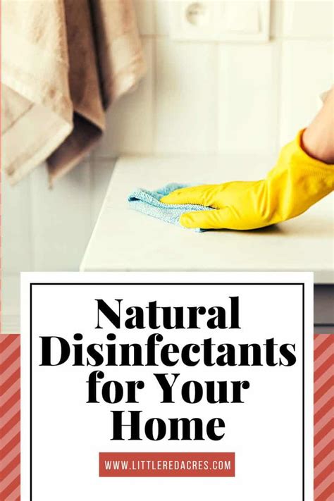 Natural Disinfectants for Your Home