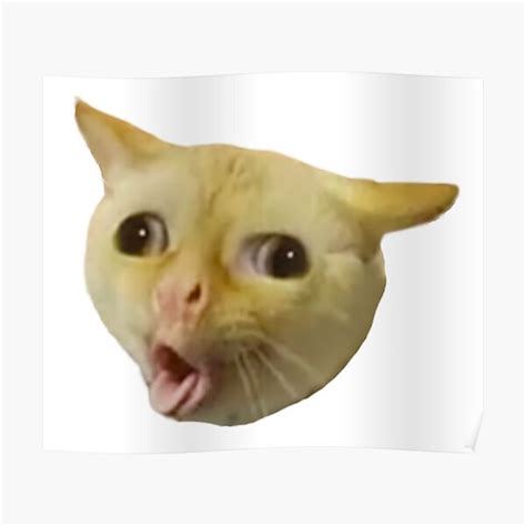 "Funny Cat Coughing Meme" Poster for Sale by fomodesigns | Redbubble