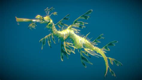 Leafy Seadragon - Buy Royalty Free 3D model by NestaEric [4dfa4e9] - Sketchfab Store