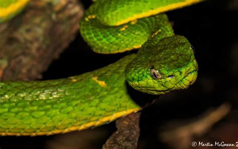 Monteverde Cloud Forest - Overland Adventure