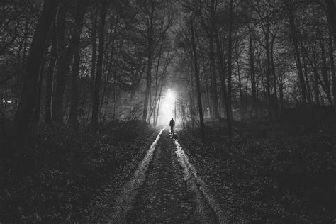 ITAP of a stranger walking in a foggy forest. (yes, it was spooky) - Imgur Foggy Forest ...