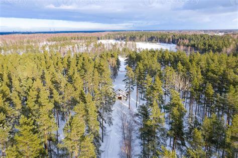 Aerial view of winter forest covered in snow. drone photography 5088086 Stock Photo at Vecteezy