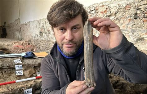 Archaeologists Discover 1,000-Year-Old Ice Skate Made From Animal Bone in Czech Republic | The ...