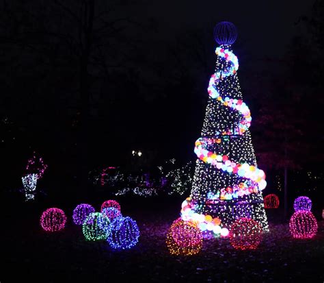 5 Reasons Why the Cincinnati Zoo Festival of Lights is the Perfect ...