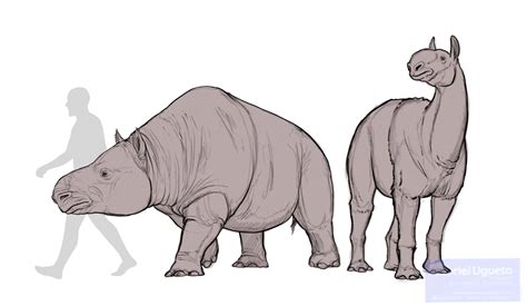 Gabriel N. U. on Twitter: "Two extinct large mammals from northern ...