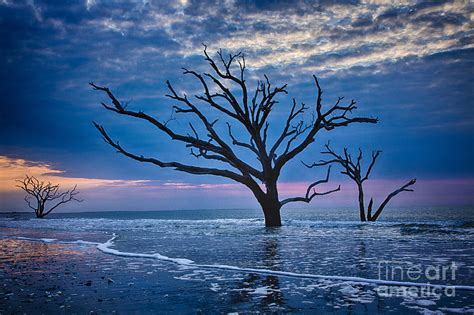 Botany Bay Sunrise 3 Photograph by Carrie Cranwill - Fine Art America