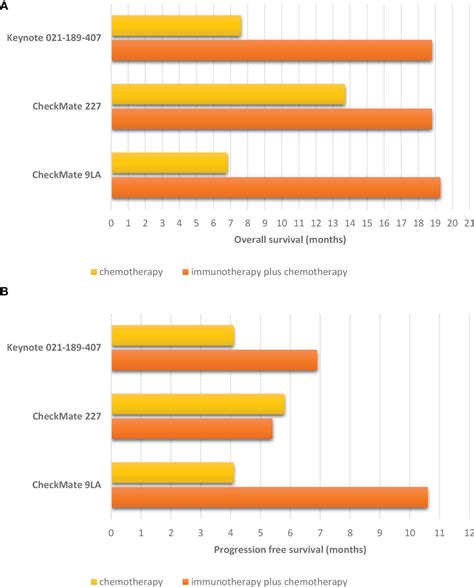 Frontiers | Immunotherapy in NSCLC Patients With Brain and Leptomeningeal Metastases