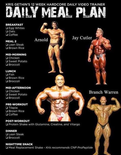 Bodybuilding Diet For Bulking at Mary Dennis blog