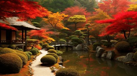 An Autumn View Of A Kyoto Japanese Garden Background, Autumn Scenery In ...