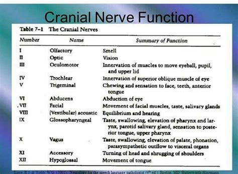 Cranial nerve function | Cranial nerves function, Cranial nerves, Nursing school notes