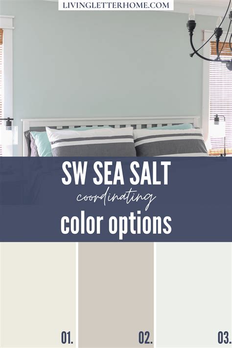 Neutral Paint Colors: Sherwin Williams Sea Salt - Living Letter Home