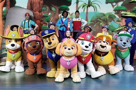 PAW Patrol Live show on a roll into Orlando this summer | Orlando ...