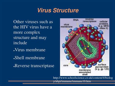 PPT - Modeling Virus Capsids using Tiling Theory PowerPoint ...