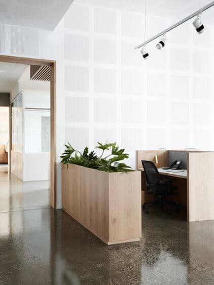 32 Office Plants You’ll Want To Adopt