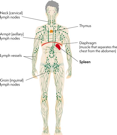 Lymph nodes swelling in armpit: The request could not be satisfied