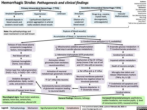 Hemorrhagic Stroke | Calgary Guide