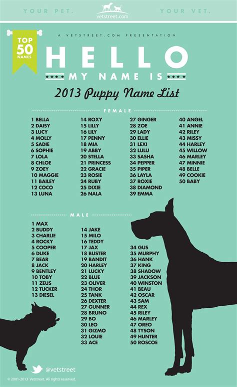 Most Popular Puppy Names of 2013 | SheNOW | Puppy names, Dog names ...