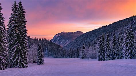 Snowy Peak Winter Wonderland - 4k Ultra HD