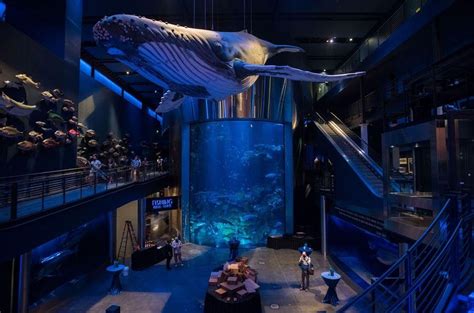 Bass Pro Wonders Of Wildlife Museum And Aquarium - Aquarium Views