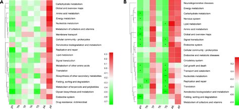 Frontiers | Soil Metagenomics Reveals Effects of Continuous Sugarcane ...