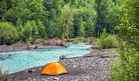 √ Mt Rainier Np Camping - Alumn Photograph