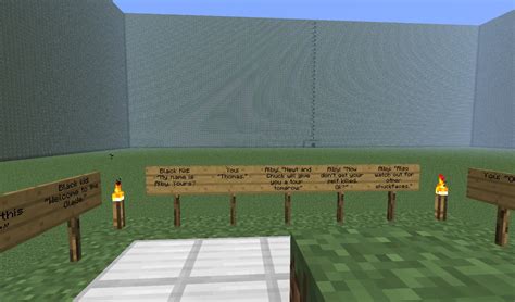 The Maze Runner Minecraft Map