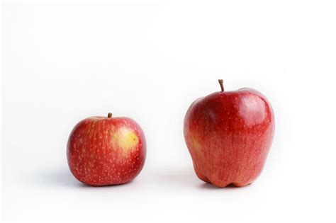 Largest Apple Variety - Top 4 Types Will Make You Surprise