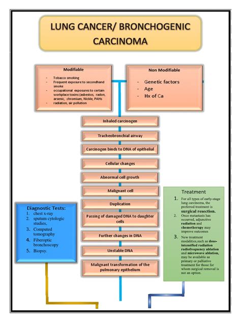 Lung Cancer Pathophysiology | Lung Cancer | Respiratory Tract