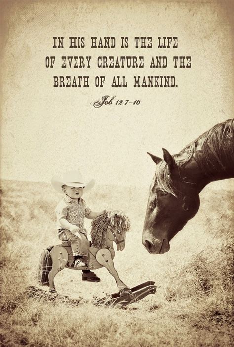 Cowboy Horse Quotes About Life. QuotesGram