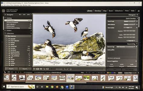 Nature, Wildlife and Landscape Editing — Atlanta School of Photography