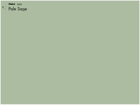 Dulux Pale Sage | Sage green paint, Dulux green paint, Green bedroom decor