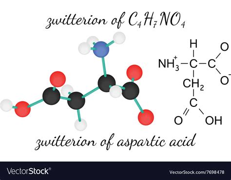 C4H7NO4 zwitterion of aspartic acid amino acid Vector Image