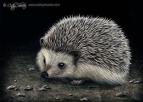 Hyper Realistic Scratchboard Wild Animal Drawings (With images ...