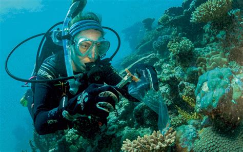 The biologist in a race against time to save the Great Barrier Reef