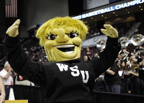 Has anyone else ever noticed Wichita State University Mascot's nose : funny