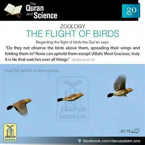 Zoology n Quran 1