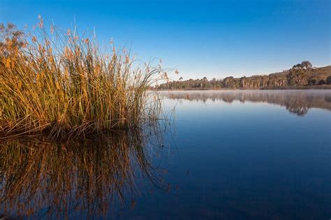 Lake Miramar. I love walking around this on a nice summer day. It's a 5 ...