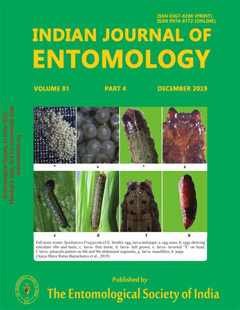 (PDF) Integrated control of brinjal shoot and fruit borer Leucinodes orbonalis guenée