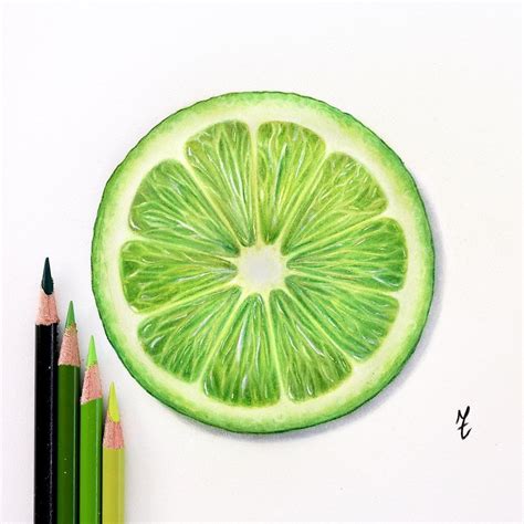 slice of lime 💚 . . . . . #prismacolorpencils #prismacolor #drawing #drawings #draw #color ...