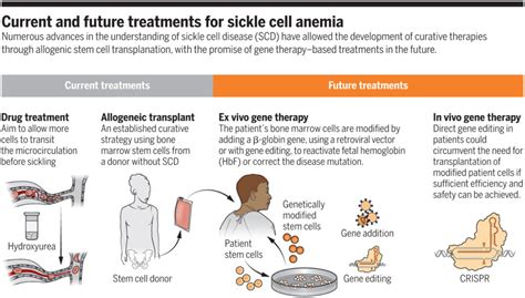 Treatment for Anemia | Homeopathic Medicine for Anemia Treatment