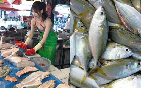 10 Jenis Ikan Yang Biasa Dijual di Pasar | Iluminasi