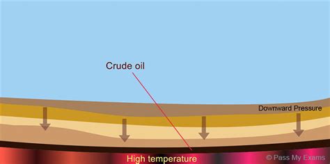 The formation of Petroleum/Crude oil: Easy exam revision notes for GSCE Chemistry