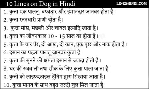 कुत्ते पर 10 लाइन वाक्य (10 Lines On Dog In Hindi)