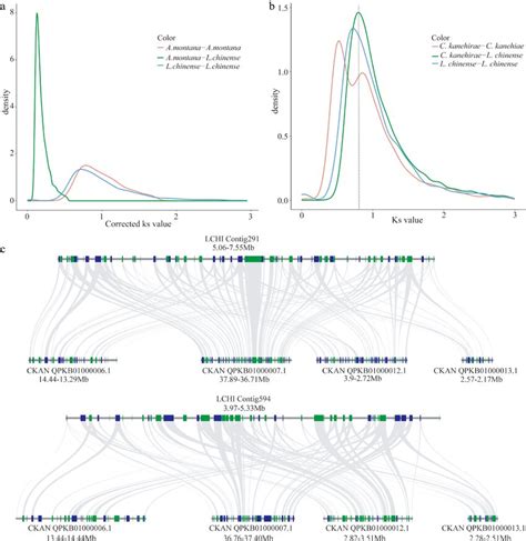 Whole genome duplication (WGD) analysis. (a) Ks distribution in A.... | Download Scientific Diagram