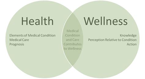 Difference Between Health and Wellness | CCC Blog