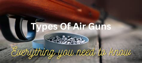 Types of Air Guns: Everything You Need To Know – Armory Daily