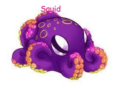 Squid | Book 642902