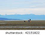 Dog in the landscape in Vancouver, British Columbia, Canada image ...