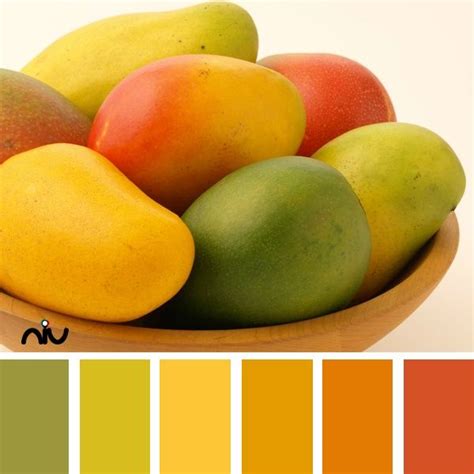 mango color palette | Via NIU paint colors for exterior home ...